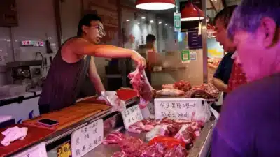 China reduz tarifas de carne suína da UE em US$2 bilhões – Negociação comercial em andamento