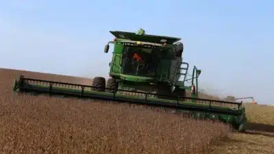 Greve histórica em sementes oleaginosas da Argentina liderada pelo FTCIODyARA!