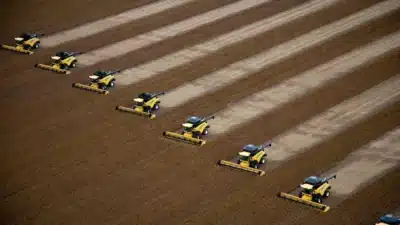 Guia Salarial Fox Agro 2025/2026: Remunerações e Tendências no Agronegócio Brasileiro