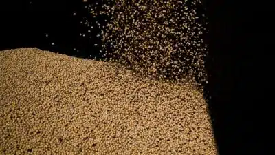 China Acelera Compra de Soja dos EUA em Leilão Histórico da Sinograin!