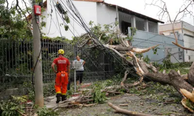 Grande São Paulo enfrenta apagões: Tempestades causam caos e mais de 44 mil imóveis sem luz