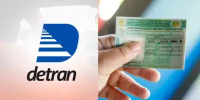 Placas de Veículos: Danos e Consequências Legais para Motoristas em 2025