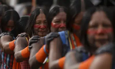 Vaqueiro Fatalito em Operação na Terra Indígena Apyterewa Revela Crise na Amazônia