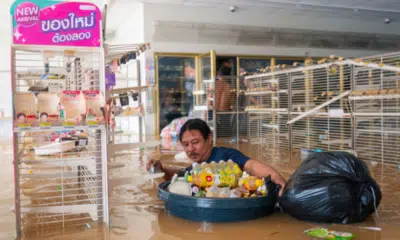Ásia em Crise: Investimento de US$ 4 Trilhões Urgente para Combater Impactos Climáticos