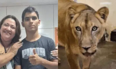 Gerson morre: choque hemorrágico por ataque de cachorro em João Pessoa