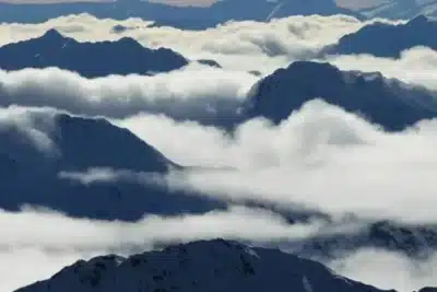 Brasil Descobre o Novo: Aventura Gastronômica Começa em São Paulo