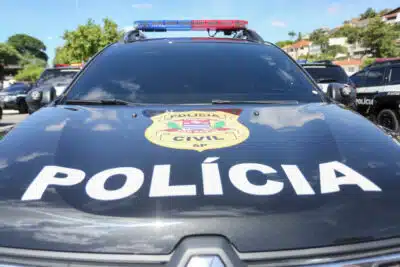 Polícia desmantela esquema criminoso com apreensão de 41 cobras e 264 ovos!