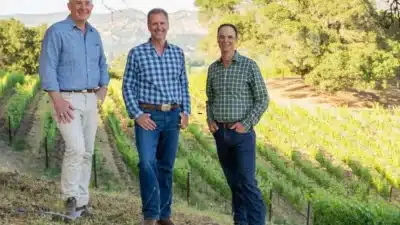 Segredo Revelado: Vinhedo da Napa Valley Surpreende Crítico e Apaixonou o Mundo!