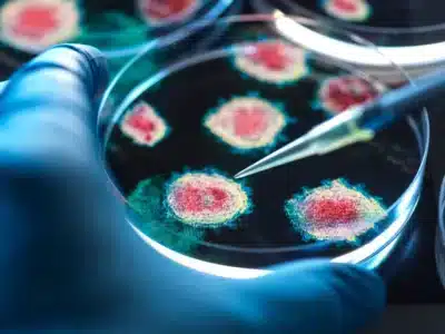 Índia em Alerta: Novo Surto de Nipah Reabre Medo de “Contágio” e Urge Ação Global!