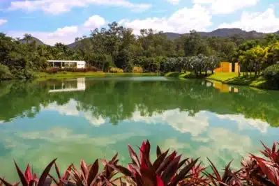Inhotim Surpreende New York Times: Destino de Arte e Natureza no Brasil!