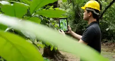 Hylaea: Planta da Amazônia Promete Alívio Contra Dependência e Doenças Neurológicas!