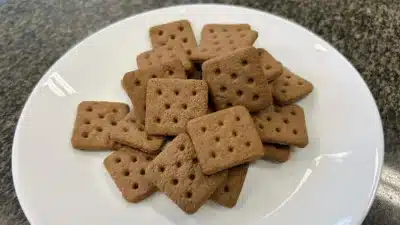 Embrapa Desvenda Estratégias Surpreendidas para Vender Insetos no Brasil