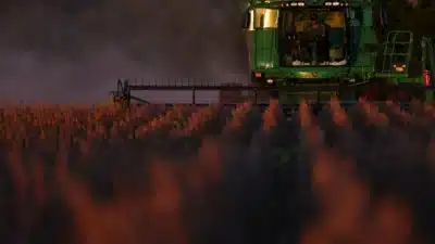 Colheita da Soja no Brasil Acelera em 2026: Impulso Surpreendente Revelado!