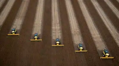 China Acelera Importação de Soja Brasileira e Desafia EUA no Mercado!