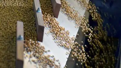 China Acelera Importação de Soja dos EUA e Brasil em Crise Global!