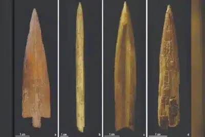 Pontas de Flecha Surpreendentes Revelam Segredos da Vida em Grupos Humanos na Argentina!