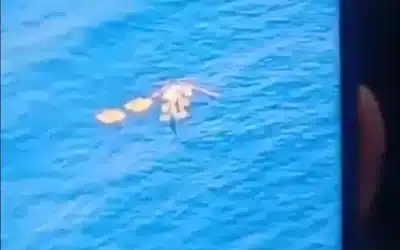 Helicóptero da Petrobras sofre pouso forçado em Cabo Frio – Detalhes chocantes!