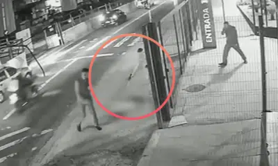 Homem Mata Cachorro Abacate em SP: Crime Chocante e Dupla Investigação em SP!