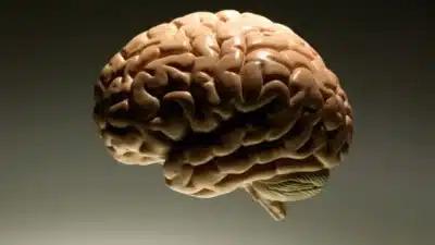 Liderança em 2026: Reflexão Estratégica e Disciplina para Resultados Impactantes