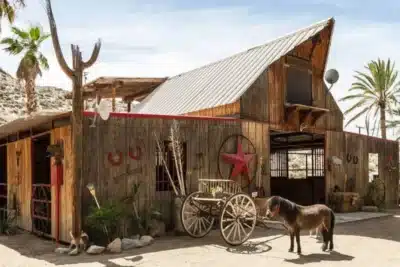 Empreendedora transforma sopa em negócio milionário: SoupaPOTamus fatura US$ 1,5 milhão em 2026!