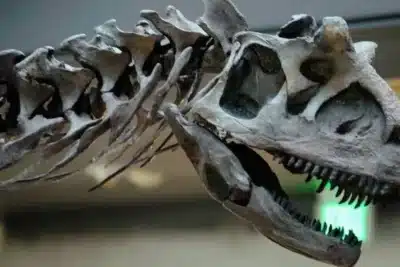 Tiranossauro Rex: Surpreendente Expectativa de Vida Revelada em Novo Estudo!