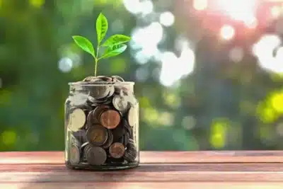 Matemático Abandona Carreira por Negócio de Plantas Raras e Fatura US$ 200 Mil por Semana!