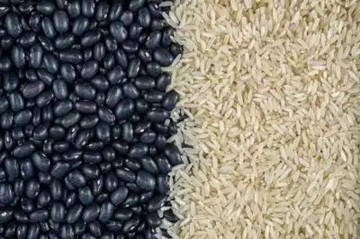 Lula anuncia ajuda humanitária a Cuba: alimentos e apoio contra crise severa!