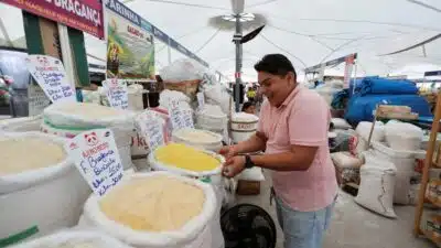 Economia Brasileira Surpreende: Crescimento de 2,5&percnt; em 2025 Impulsiona Setores-Chave!