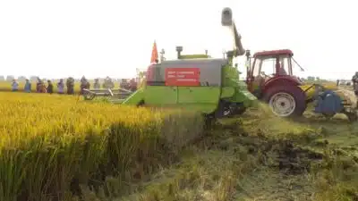 China Acelera Busca por Segurança Alimentar com Nova Política Agrícola!