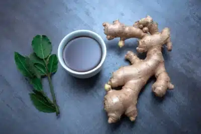 Louro: O Segredo Milenar que Revoluciona Sua Saúde e Digestão!