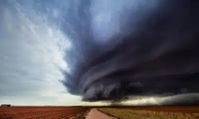 Juiz de Fora em Crise: Supercélula Devasta e 23 Mortos Confirmados!