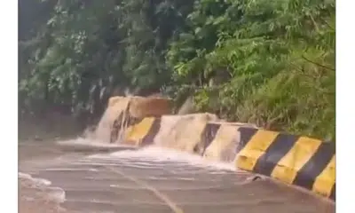 Tempestade Apocalíptica no Litoral Paulista: Peruíbe em Crise e Desabrigados em Massa