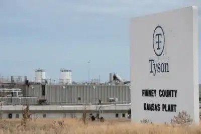 Tyson Foods: Prejuízo Bilionário e Desconfiança no Mercado de Carne!