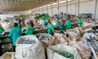 Pró-Catadores: Faturamento de Cooperativas Explode e Impacta Milhões no Brasil!