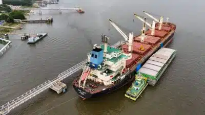 China endurece restrições à soja brasileira e ameaça exportações recordes