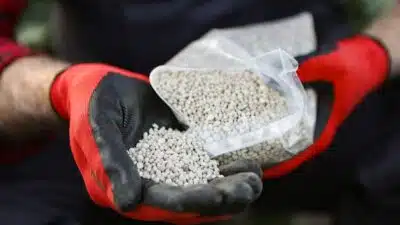 China Suspende Exportação de Fertilizantes: Crise Global se Aprofunda e Preços Disparam!