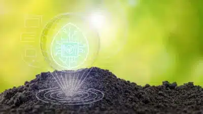 Startups de Agronegócio Disparam no Brasil: 2.075 Empresas em 2025!