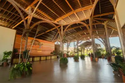 Grupo Tauá Acelera Crescimento com Novo Resort e Foco em Gestão Hoteleira