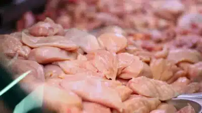 Carne de Frango: Brasil Quebra Recordes de Exportação em Fevereiro de 2026!