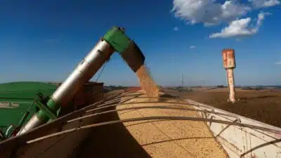 Diesel em Crise no RS: ANP Investiga Preços Altos e Falta de Abastecimento!