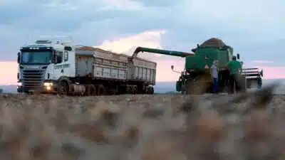 Agronegócio em Crise: Recuperações Judiciais Disparam em 56&percnt; em 2025!