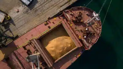 Brasil e China em crise na soja: Brasil busca fim de exigências chinesas na inspeção!