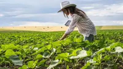 Mulheres Inspiradoras: Resiliência, Liderança e Transformação que Movem o Brasil e o Mundo!