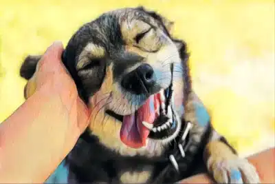 IA Desvenda a Linguagem Animal: Segredos da Natureza Revelados!