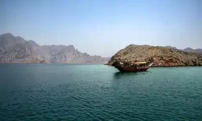 Ministério abre rota turca para exportação de produtos brasileiros!