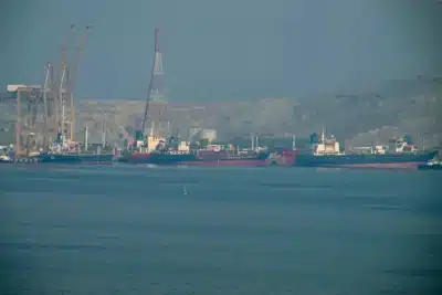 Trump Adia Ataques e Mercados em Queda Livre: Crise e “Trump Always Chickens Out”