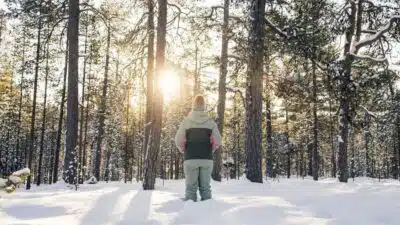 Finlândia: O País Mais Feliz do Mundo em 2026 Desvenda o Segredo da Felicidade!