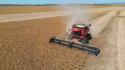 Agropecuária Bombeia Economia Brasileira em 2025: Crescimento Surpreendente!