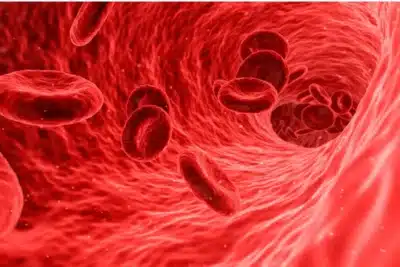 Demência: Novos Exames de Sangue Revelam Previsão de Anos à Frente