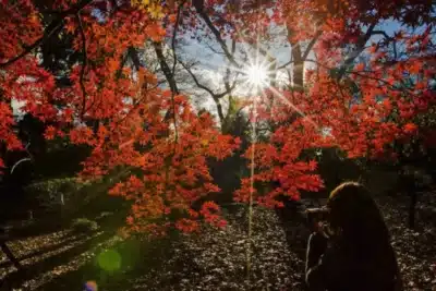 Outono de 2026: Secas e Temperaturas Extremas Ameaçam o Brasil!